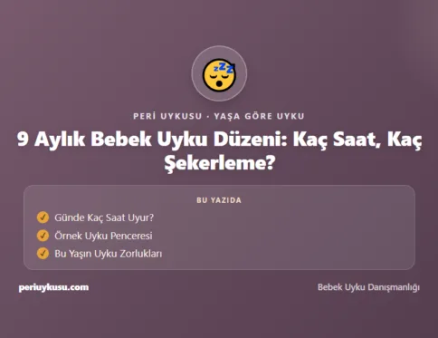 9 Aylık — 9 Aylık Bebek Uyku Düzeni: Kaç Saat, Kaç Şekerleme?