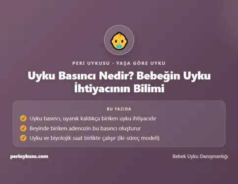 Uyku Basıncı — Uyku Basıncı Nedir? Bebeğin Uyku İhtiyacının Bilimi