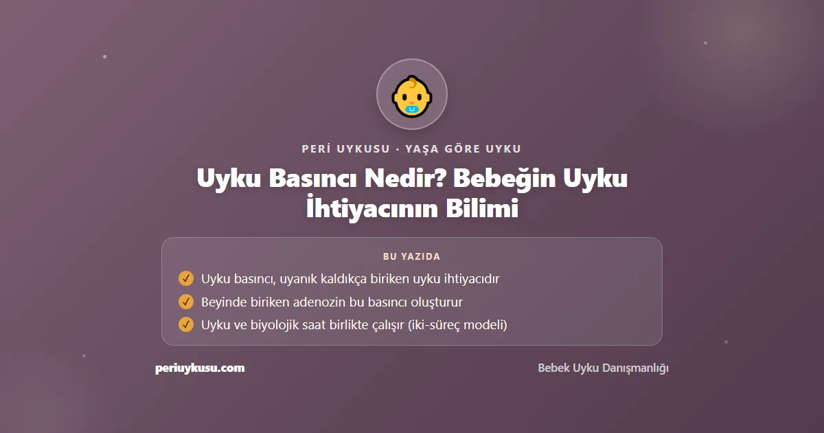 Uyku Basıncı — Uyku Basıncı Nedir? Bebeğin Uyku İhtiyacının Bilimi