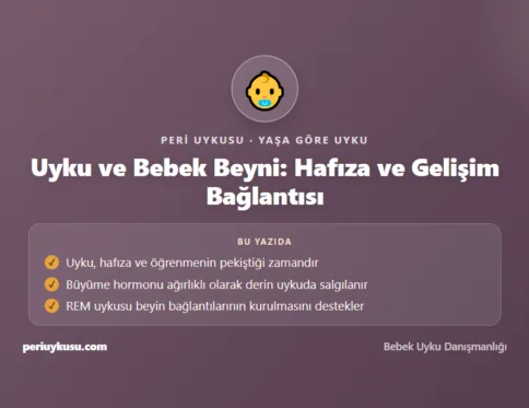 Beyni — Uyku ve Bebek Beyni: Hafıza ve Gelişim Bağlantısı
