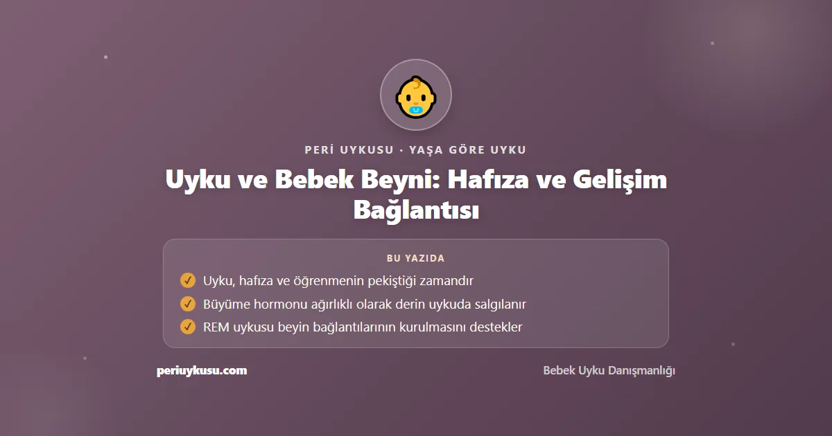 Beyni — Uyku ve Bebek Beyni: Hafıza ve Gelişim Bağlantısı