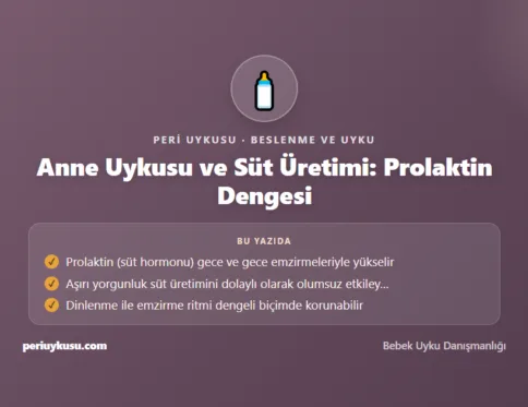Süt Üretimi — Anne Uykusu ve Süt Üretimi: Prolaktin Dengesi