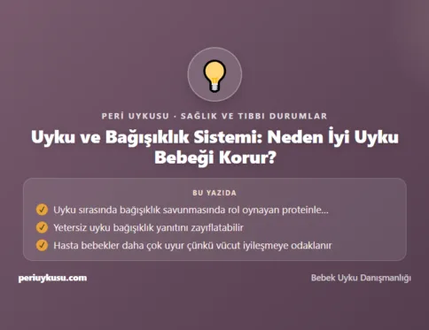 Bağışıklık — Uyku ve Bağışıklık Sistemi: Neden İyi Uyku Bebeği Korur?