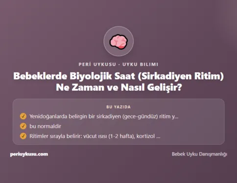 Saat — Bebeklerde Biyolojik Saat (Sirkadiyen Ritim) Ne Zaman ve Nasıl Gelişir?