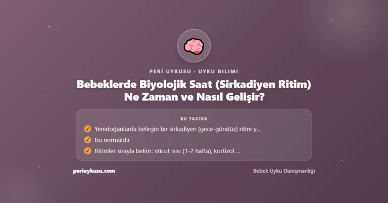 Bebeklerde Biyolojik Saat (Sirkadiyen Ritim) Ne Zaman ve Nasıl Gelişir?