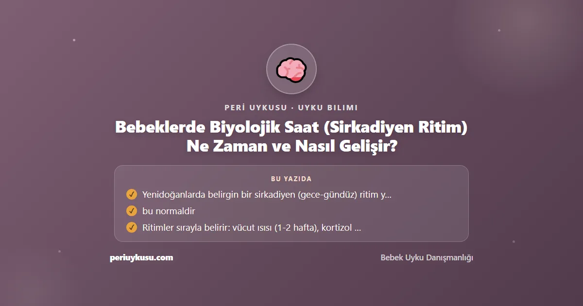 Saat — Bebeklerde Biyolojik Saat (Sirkadiyen Ritim) Ne Zaman ve Nasıl Gelişir?