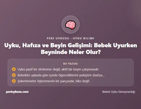 Beyin — Uyku, Hafıza ve Beyin Gelişimi: Bebek Uyurken Beyninde Neler Olur?