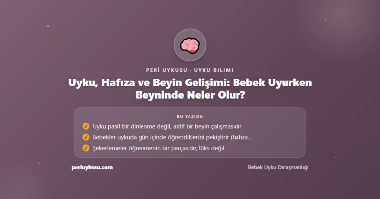 Uyku, Hafıza ve Beyin Gelişimi: Bebek Uyurken Beyninde Neler Olur?