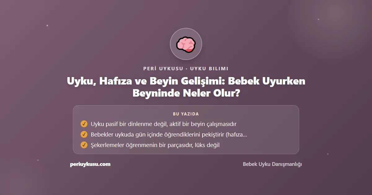 Beyin — Uyku, Hafıza ve Beyin Gelişimi: Bebek Uyurken Beyninde Neler Olur?