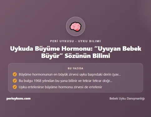 Büyüme — Uykuda Büyüme Hormonu: "Uyuyan Bebek Büyür" Sözünün Bilimi