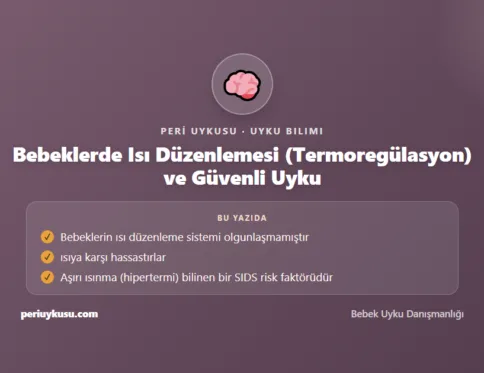 Güvenli — Bebeklerde Isı Düzenlemesi (Termoregülasyon) ve Güvenli Uyku