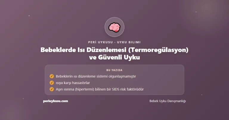 Bebeklerde Isı Düzenlemesi (Termoregülasyon) ve Güvenli Uyku