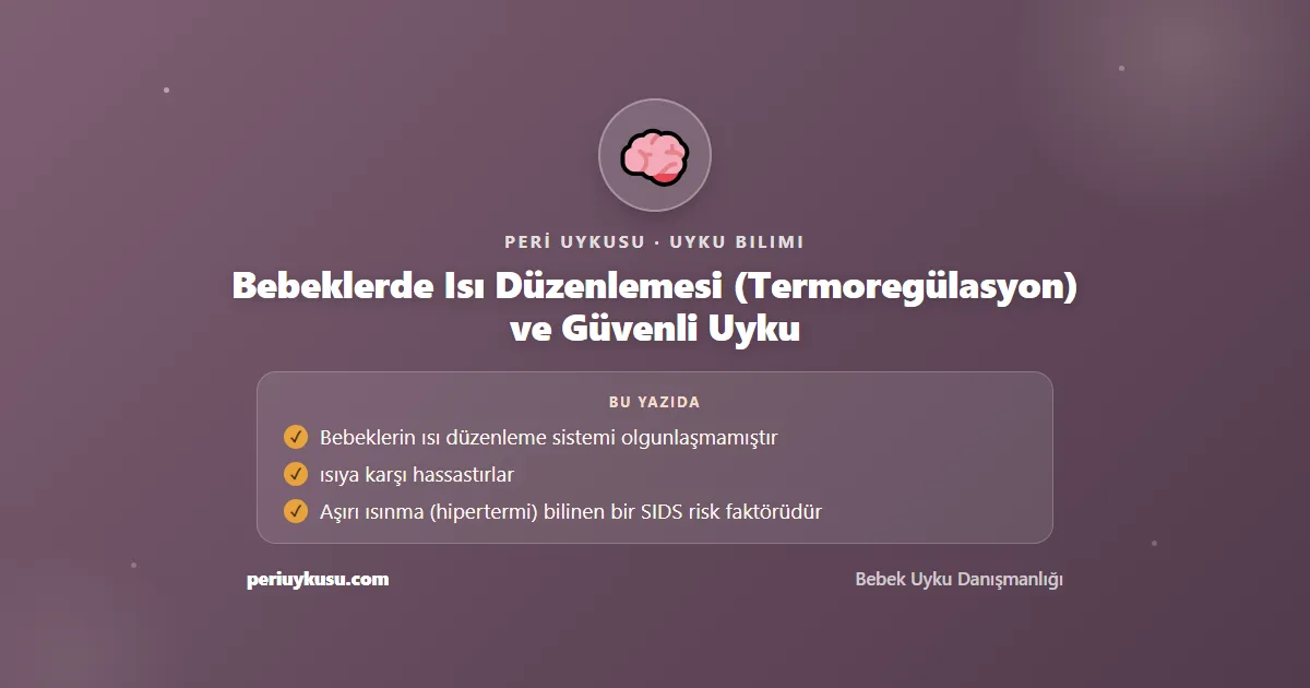 Güvenli — Bebeklerde Isı Düzenlemesi (Termoregülasyon) ve Güvenli Uyku